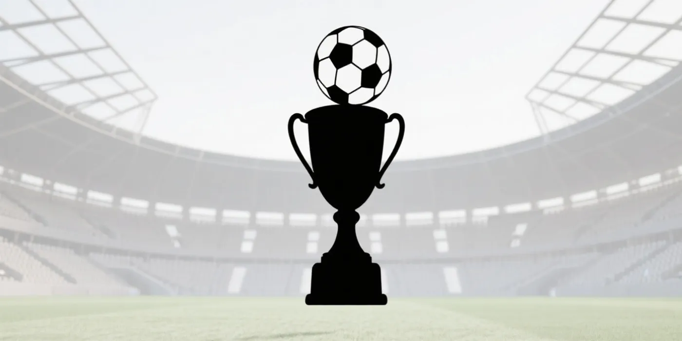 淘汰赛与决赛氛围插图